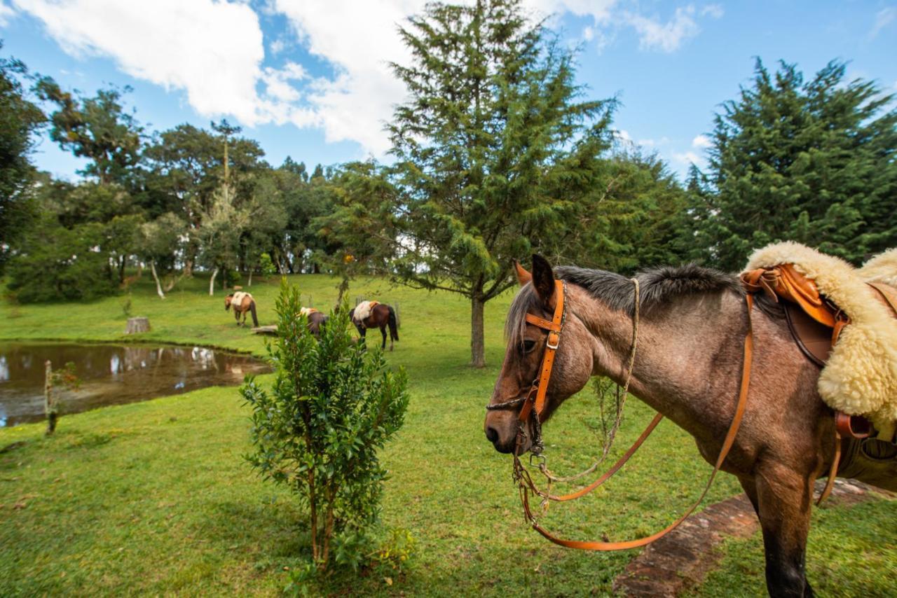 Aires De Patagonia Hotel กัมบารา ภายนอก รูปภาพ